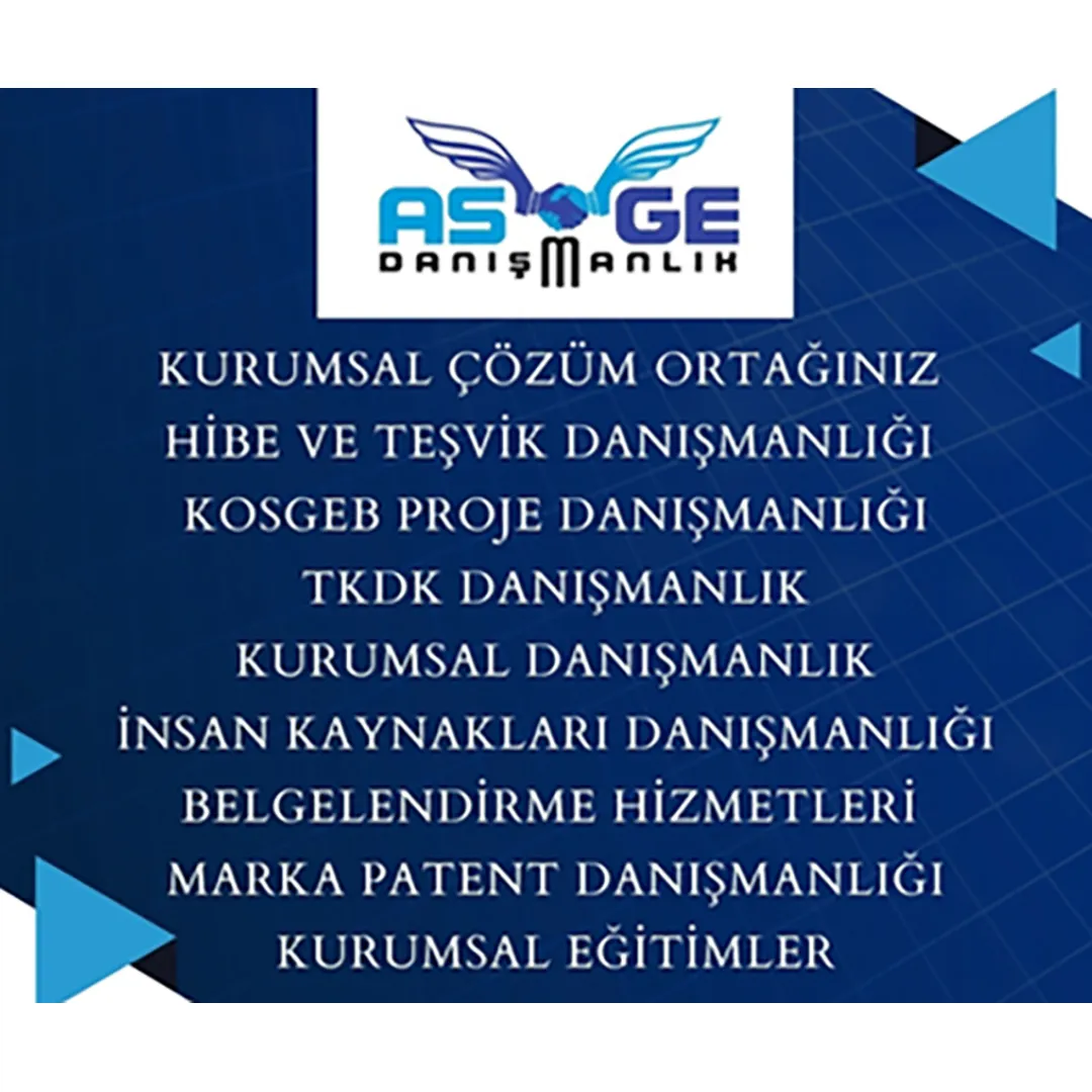 ASGE Danışmanlık