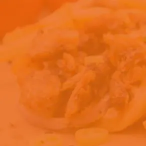 Biberlin Döner Franchise