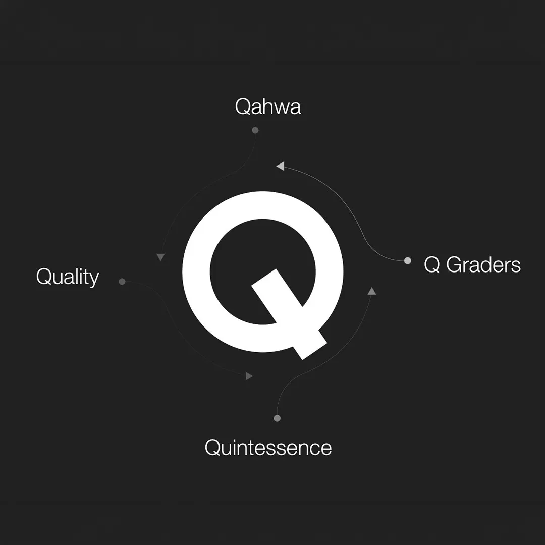 The Q Lab
