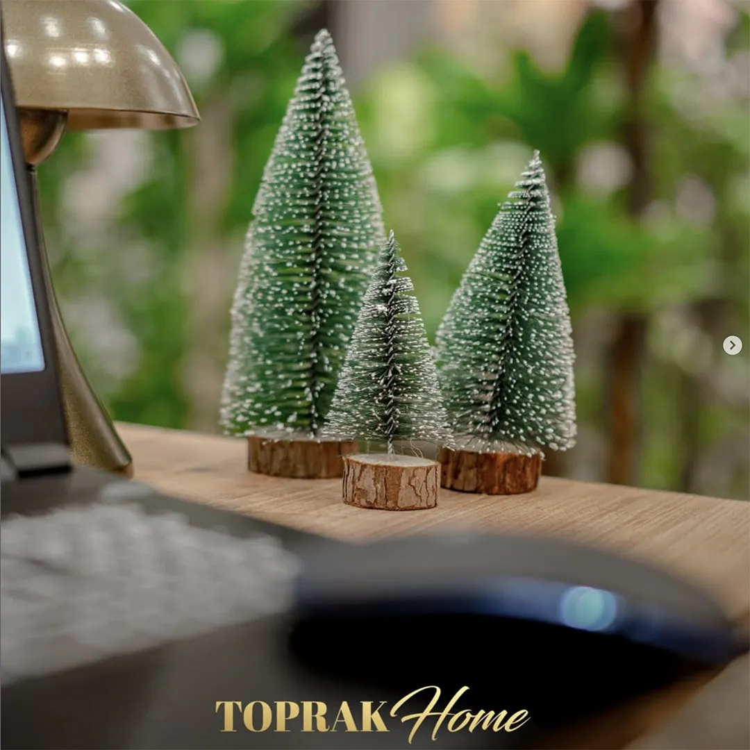 Toprak Home