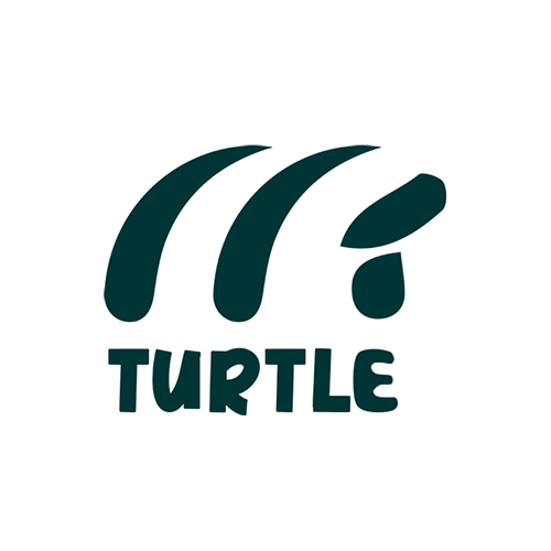 Turtle Tiny House Karavan