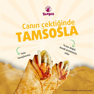Tamsos Franchise